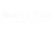 Stranger of Paradise Final Fantasy Origin Icon